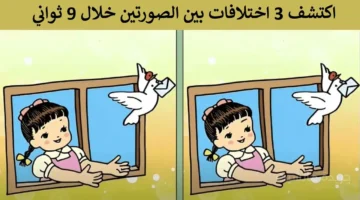 تحدي الـ 9 ثوانٍ.. هل يمكنك اكتشاف الاختلافات الثلاثة التي حيرت 99 من الأشخاص؟ 1